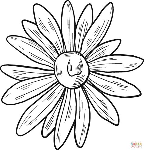 coloring pages  daisy flower boringpopcom