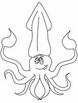 Squid Tintenfisch Ozean Ausmalbild Coloringmates Q1 Vicoms Momjunction sketch template