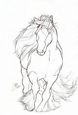 Horse Drawing Gypsy Drawings Vanner Easy Coloring Rearing Pages Pencil Off Line Sketch Cool Animator Journey Sketches Contour Elipse Getdrawings sketch template