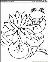 Coloring Lily Pad Pages Printable Flower Popular Kids sketch template
