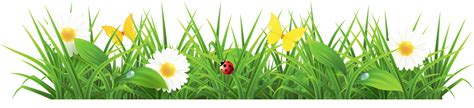Grass And Flowers Clip Art Cliparts