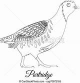 Partridge sketch template