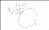 Coloring Vegetables Tracing Beetroot Pages Mathworksheets4kids sketch template