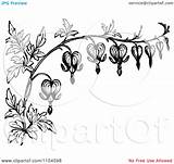 Bleeding Heart Clipart Flower Vintage Flowers Tattoo Border Retro Royalty Coloring Vector Vine Tattoos Prawny Clipartof Drawing Designs Clipground Drawings sketch template