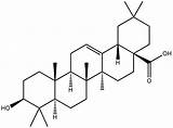 Compound Oleanolic Lipid sketch template