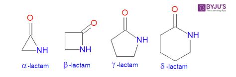 lactam synthesis structure types  lactam    lactam  faqs