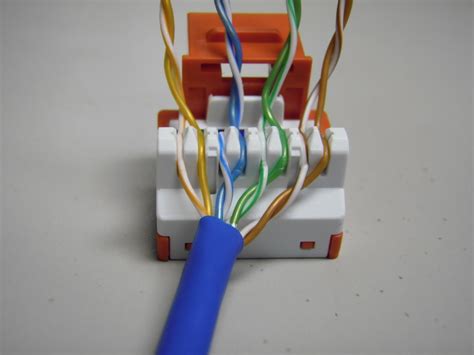 cat  keystone jack wiring