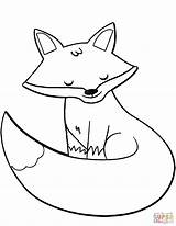 Fox Coloring Cartoon Colouring Pages Printable Template Supercoloring Red sketch template