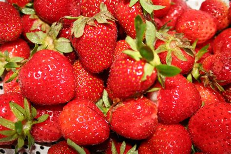 grow strawberries home garden joy