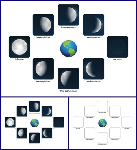 phases   moon printables gift  curiosity
