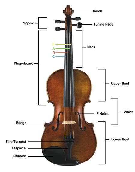 violin  tunedcom