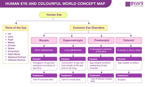 The Human Eye And Colourful World Concept Map Understand The Concept