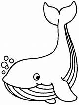Coloring Whale Pages Preschool Printable Animals Kids sketch template