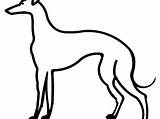 Greyhound Line Drawing Clipartmag Clipart sketch template