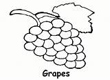 Grapes Coloring Pages sketch template