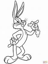 Coloring Bugs Bunny Pages Printable Drawing Paper sketch template