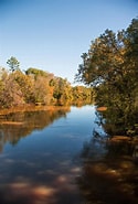 Image result for Sabine River Texas �louisiana. Size: 125 x 185. Source: fineartamerica.com