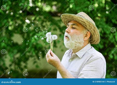 Summer Happiness Grandpa Farmer Senior Man Blowing Dandelion Seeds In