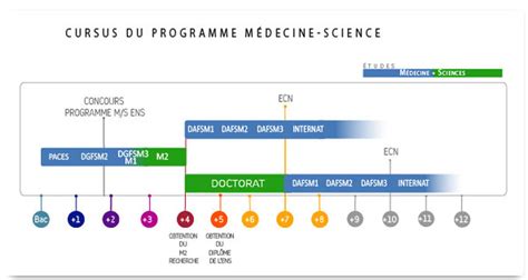 Pdf Cours De Medecine 1ere Année Algerie Pdf Télécharger Download