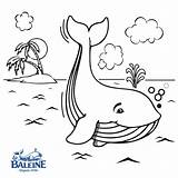 Baleine Kleurende Stay Ocean sketch template