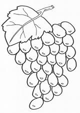 Anggur Mewarnai Untuk Paud Marimewarnai sketch template