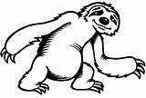 Sloth Perezoso Oso Perezosos Osos Sid Sloths Toed sketch template