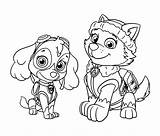 Everest Skye Paw Patrol Together Pages2color Pages Cookie Copyright sketch template