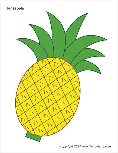 pineapple  printable templates coloring pages firstpalette