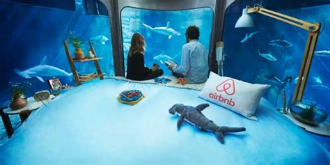 airbnb shark tank contest askmen