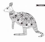 Kangaroo Zentangle Kangourou Coloration Stylized Freehand sketch template