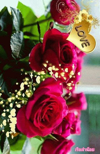 78 Best Flowers Images On Pinterest Beautiful Flowers