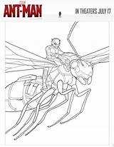 Coloring Ant Man Pages Antman Marvel sketch template