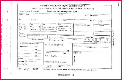 rabies certificate template   fabtemplatez