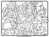 Coloring Pages Patterns Mucha Printable Adults Adult Deco Nouveau Alfons 775d Print sketch template