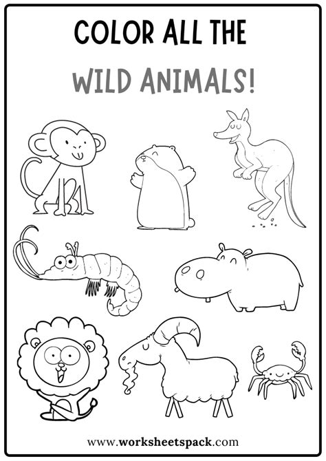 color   wild animals worksheet  wild animals coloring book
