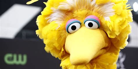 could trump s 2018 budget kill sesame street s beloved big bird