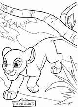 Lion Coloring Kiara Leon Guardia Kion Dibujos Bestcoloringpagesforkids Fuli Scribblefun sketch template