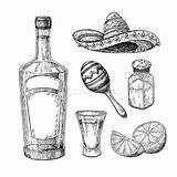 Tequila Glass Mexican Shaker Geschoten Schudbeker Mexicaanse Kalk Zoute Vectortekening Blauwe Agave sketch template