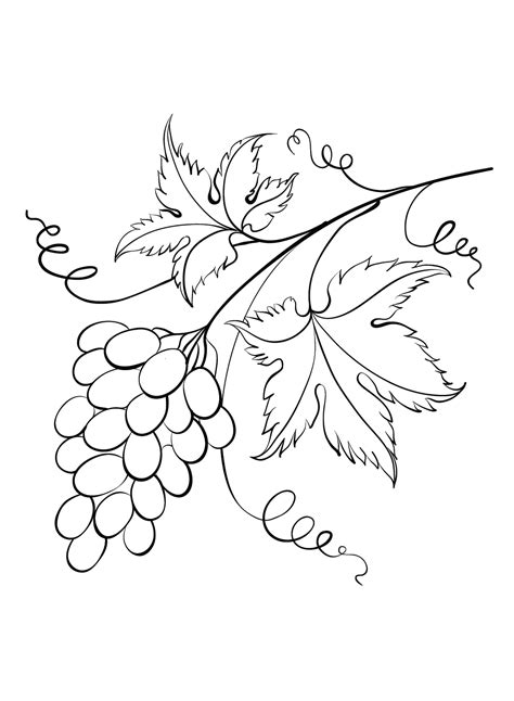 grapes  kids coloring page  printable coloring pages