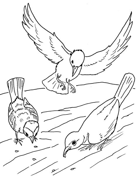 birds birds kids coloring pages