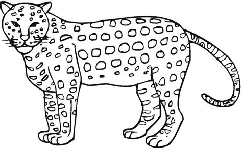 jaguar coloring pages    print