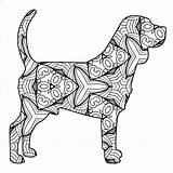Beagle Coloringbay sketch template