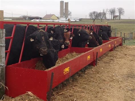 Pmc Heavy Duty Deep Fence Line Feeders For Bulls And Other Large Cattle
