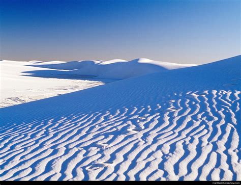 saturday   snow desert