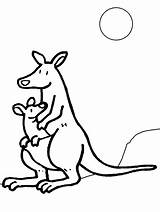 Kangaroo Clipart Kids Coloring Drawings Pages Library Baby sketch template