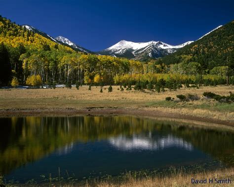 flagstaff google search pretty pictures places painting ideas pinterest flagstaff