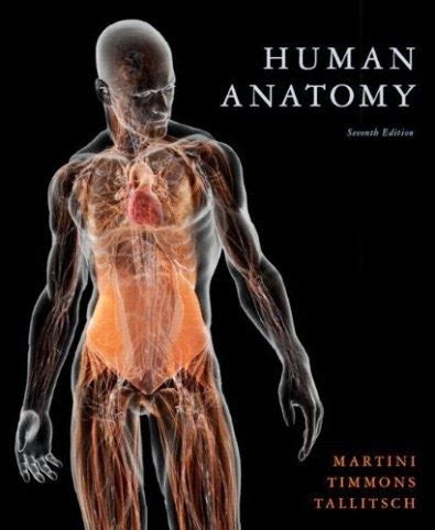 hacks   human anatomy