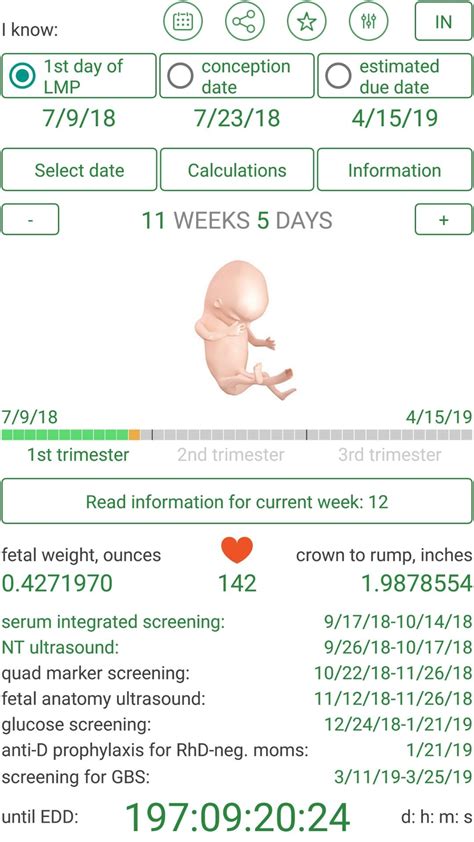 printable pregnancy calendar week by week calendar templates