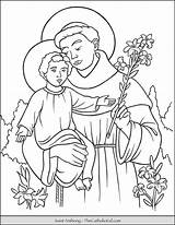 Saints Thecatholickid Padua Patron Catholic sketch template