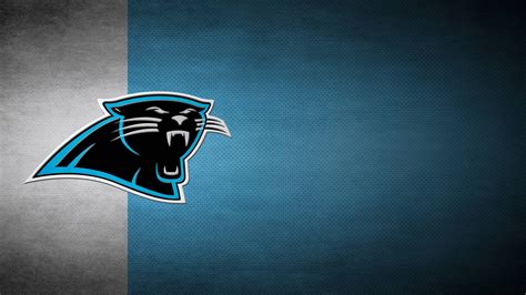 panthers zoom background